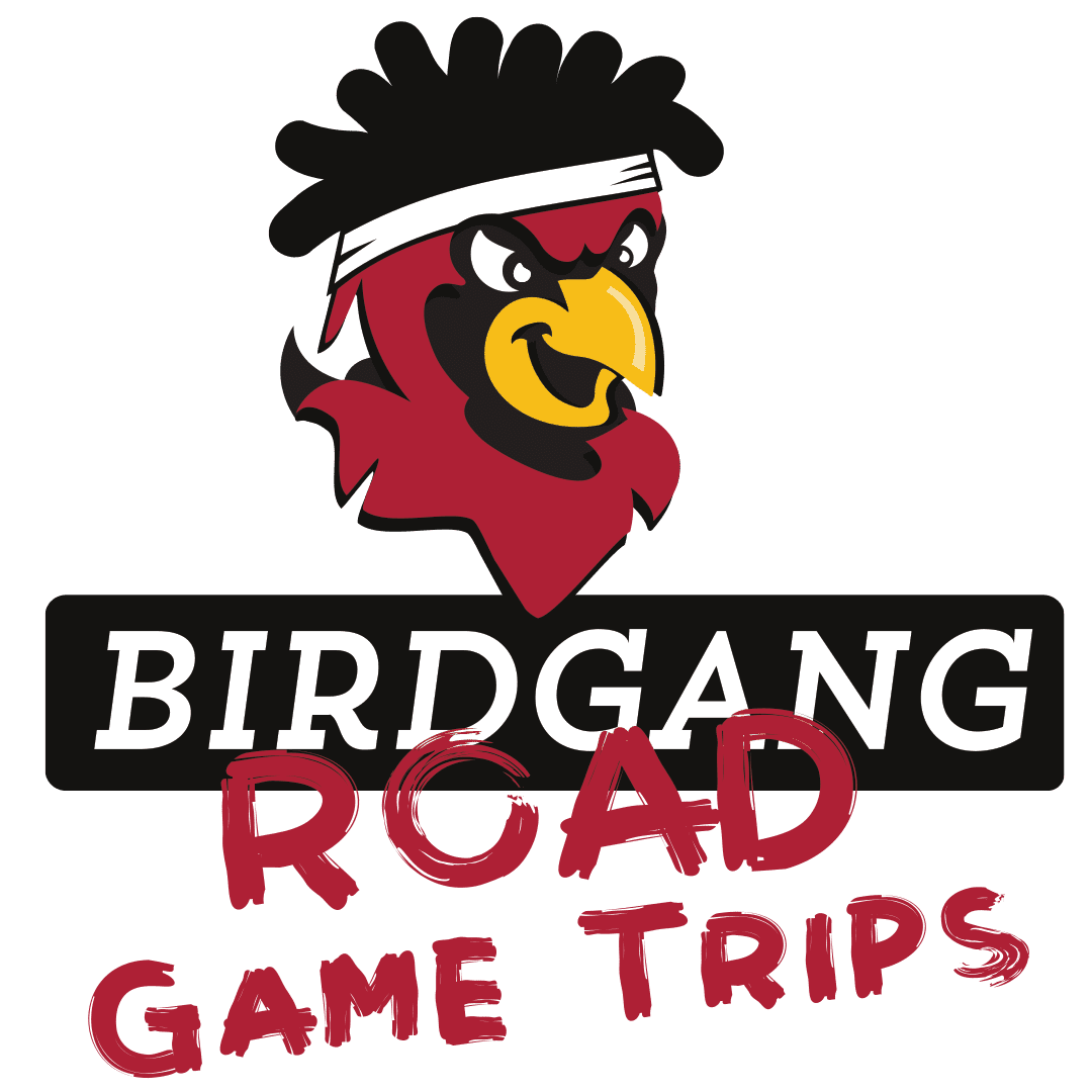 BirdGang_RoadGame