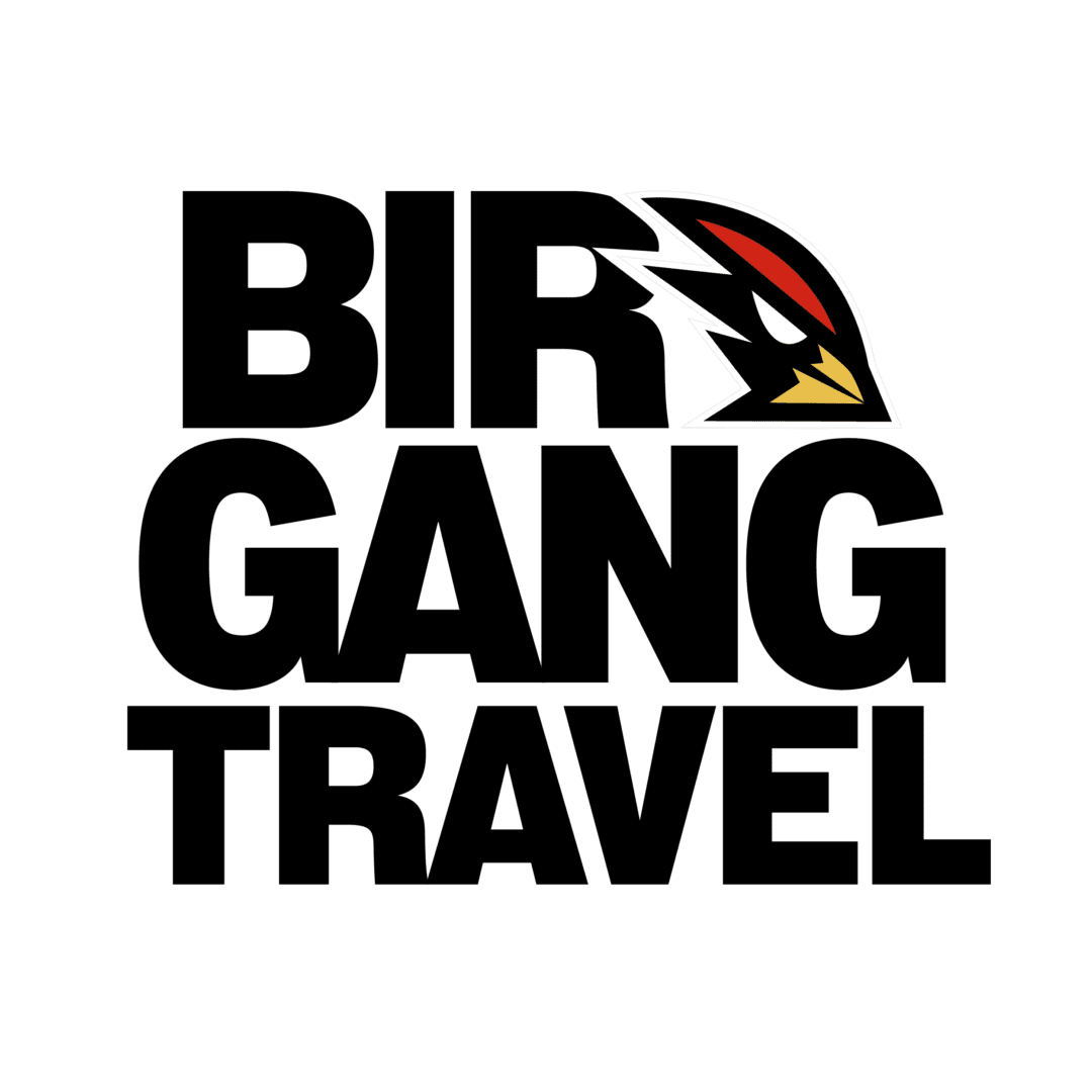 Birdgang Travel Black